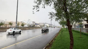 موسم الوسم 1446.. الحصيني يكشف موعد بدايته وتوقعات بأمطار غزيرة